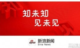 新浪新闻爆料平台,揭秘幕后真相
